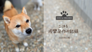 こはる、痙攣発作の記録