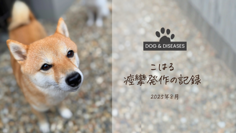 こはる、痙攣発作の記録